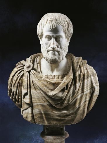 Aristotle: The Philosopher Who Shaped Western Thought