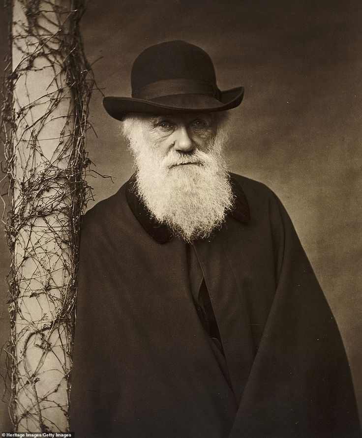 Charles Darwin The Revolutionary Theory of Evolution