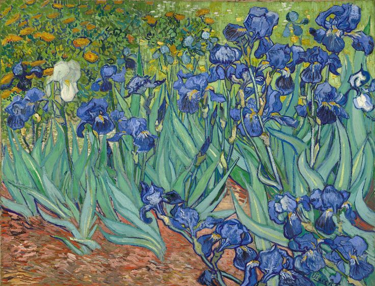 Vincent van Gogh A Storied Life of Artistic Passion and Struggle