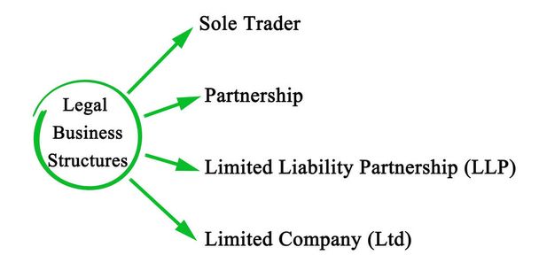 Understanding the Limited Company (Ltd)
