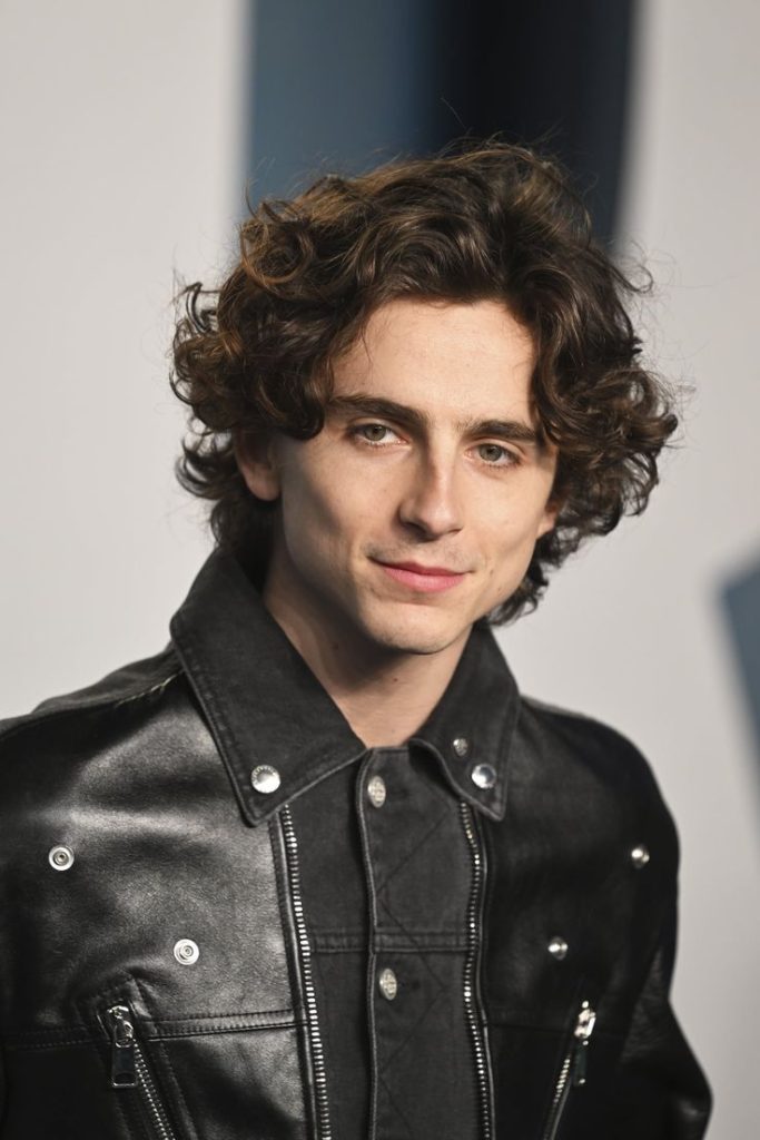 Timothée Chalamet A Comprehensive Biography (1)