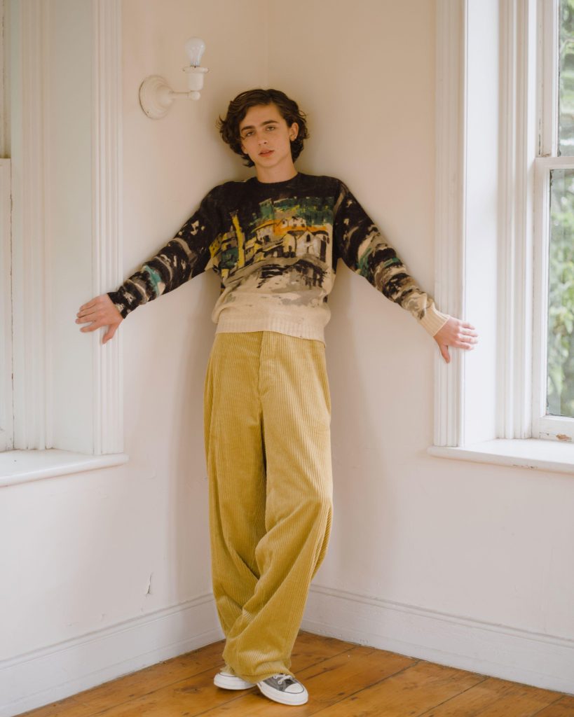 Timothée Chalamet A Comprehensive Biography