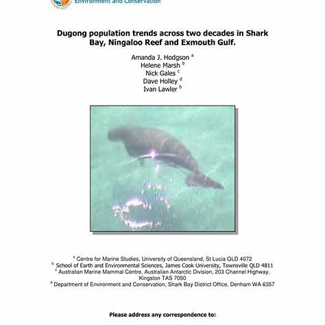 Dugong Biography The Gentle Sea Cow of Coastal Waters