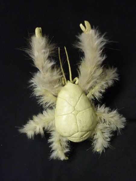 Yeti Crab The Deep-Sea Marvel