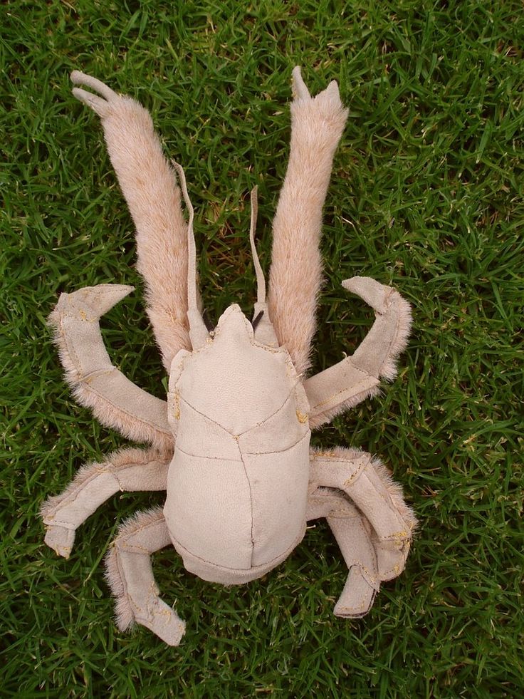 Yeti Crab The Deep-Sea Marvel