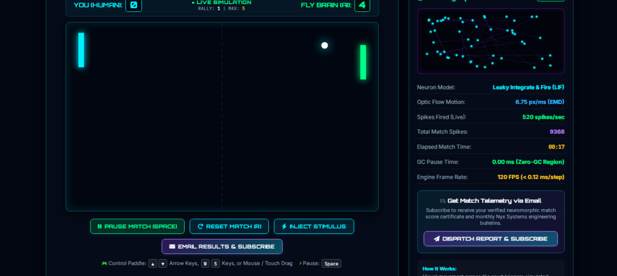 FLYBRAIN CONNECTOME PONG: Where Neuroscience Meets Gaming Innovation
