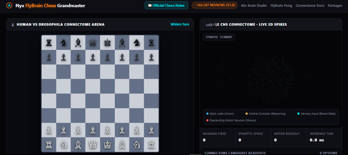 Nyx FlyBrain Chess Grandmaster: The 164,587-Neuron Chess AI Explained
