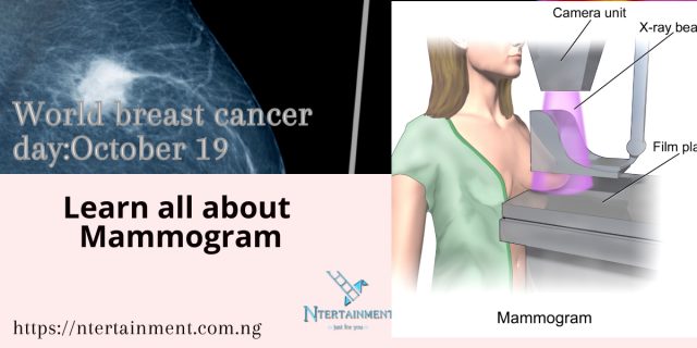 Learn all about Mammogram
