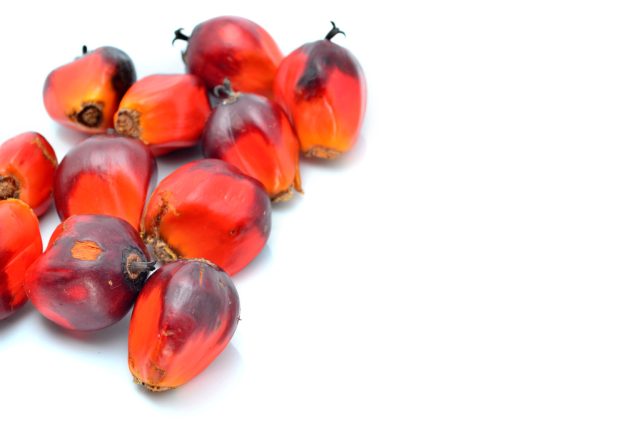 Exploring the Surprising Health Benefits of Palm Oil