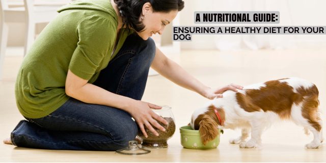 A Nutritional Guide Ensuring a Healthy Diet for Your Dog