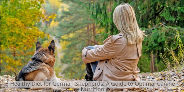 Healthy Diet for German Shepherds