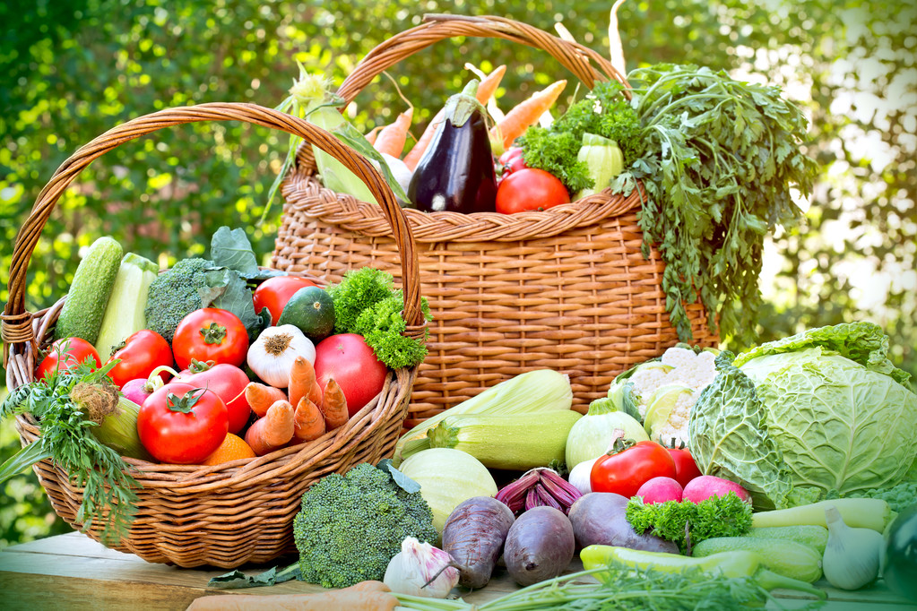 Health Benefits of Embracing a Vegetarian Lifestyle