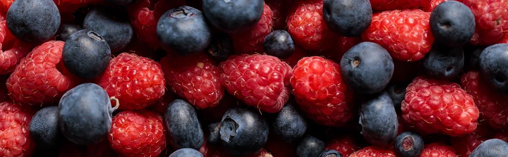 10 Foods That Boost the Immune System