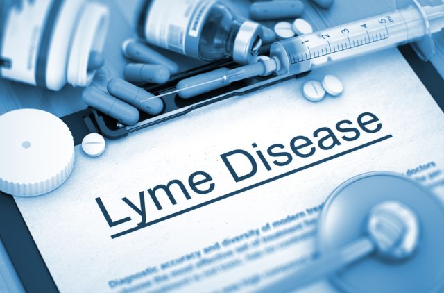 Lyme Disease: A Global Health Challenge