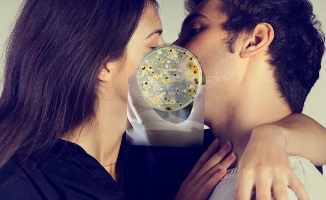 Kissing and Bacteria: Exploring the Hidden Connections