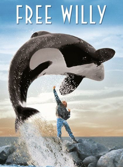Orcas in Popular Culture Movies and Documentaries