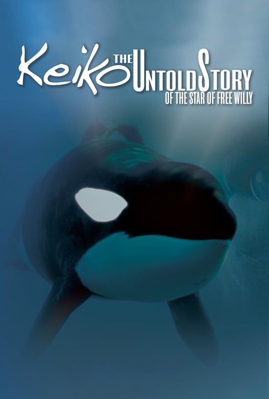 Orcas in Popular Culture Movies and Documentaries