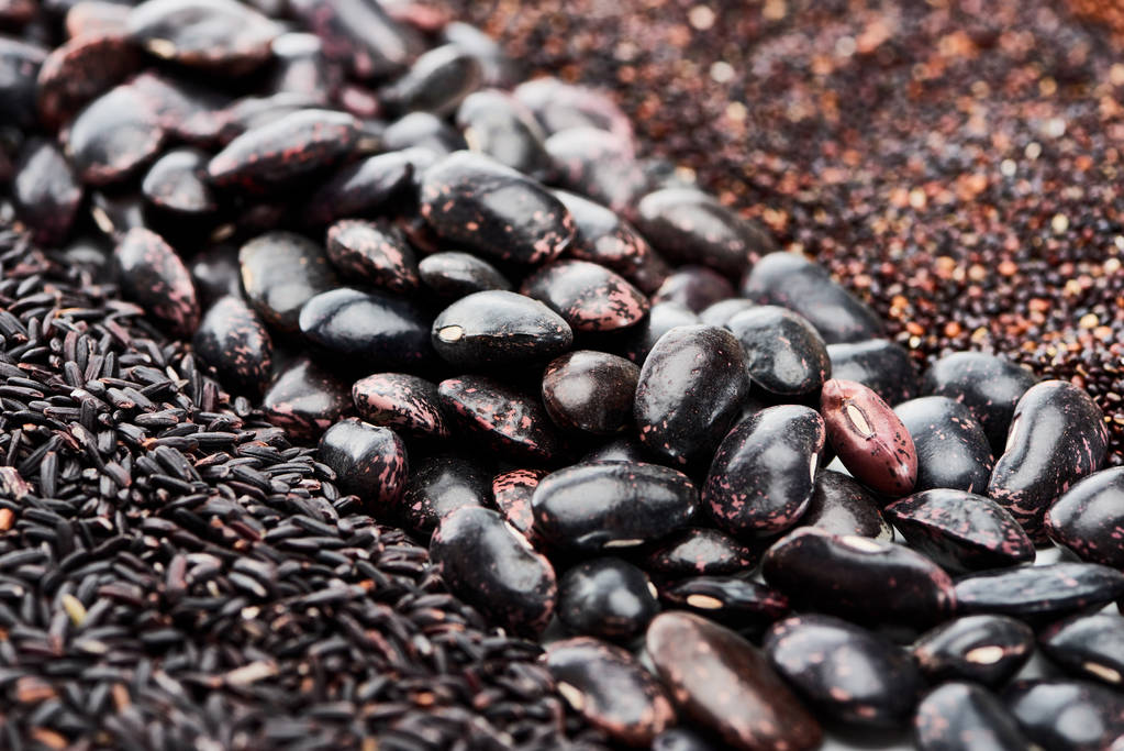 The Top 7 Surprising Health Benefits of Black Beans You Need to Know