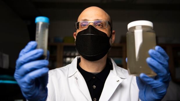 Hidden Viruses in Canadian Lakes Through Wastewater Testing