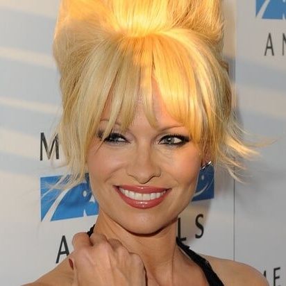 Pamela Anderson Biography