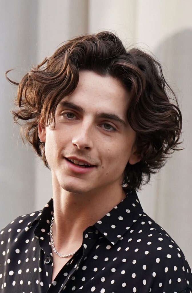 Timothée Chalamet A Comprehensive Biography (2)