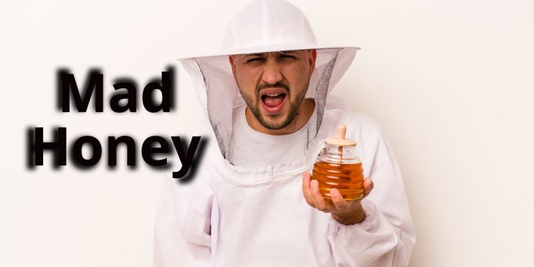 Mad Honey_ The Hallucinogenic and Toxic Honey